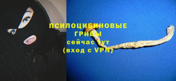 шишки Богданович