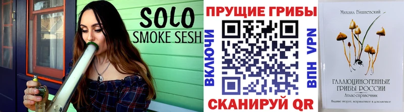 Купить закладки  Данилов  Псилоцибиновые грибы MAGIC MUSHROOMS 