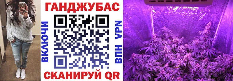 Купить где  Данилов  Канабис планчик 